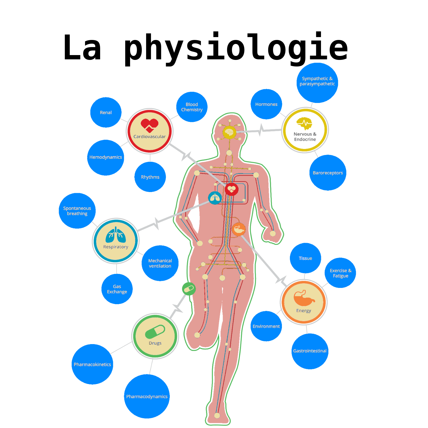Physiologie Humaine de l'Exercice  nataswim