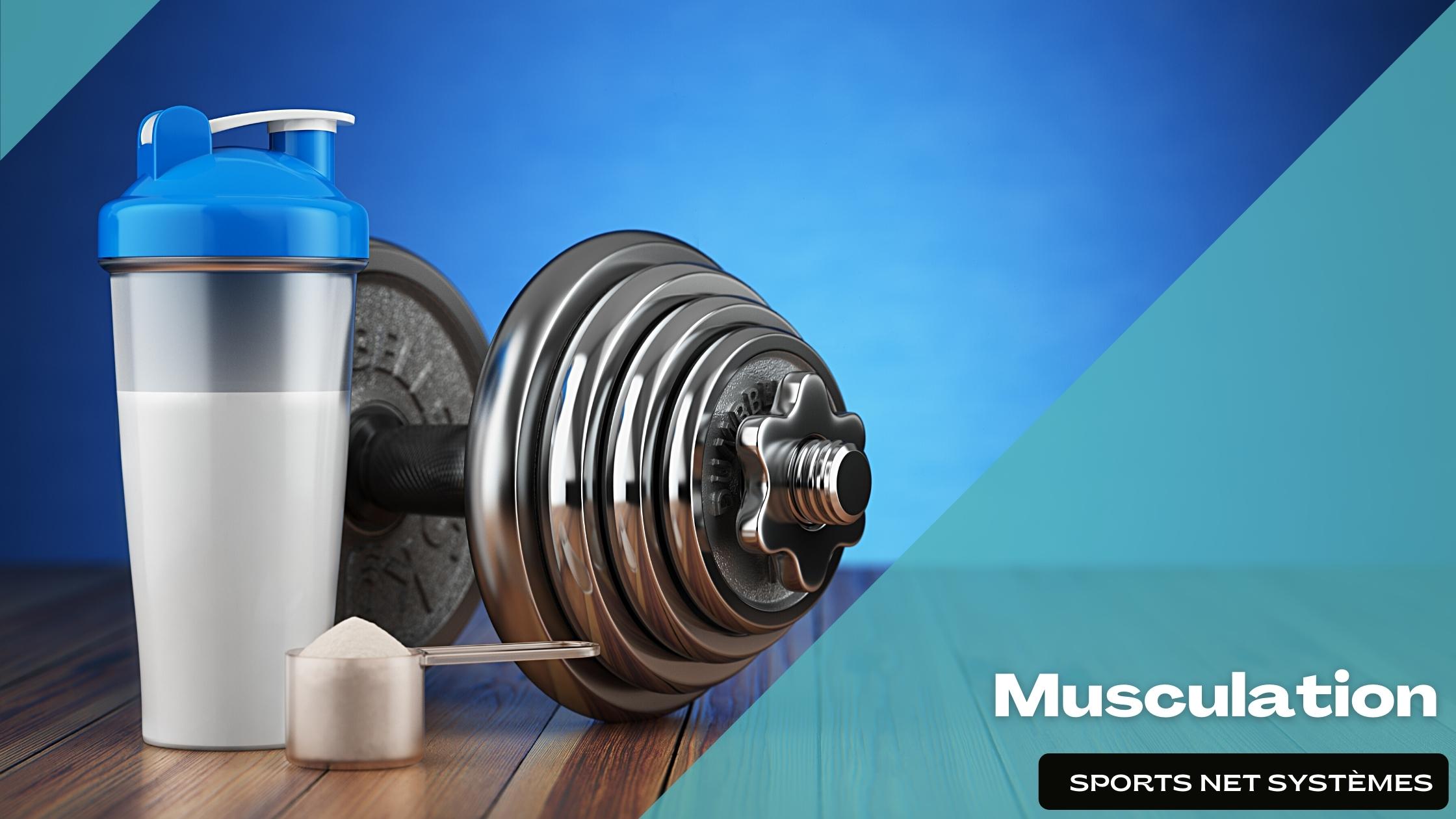 MUSCULATION