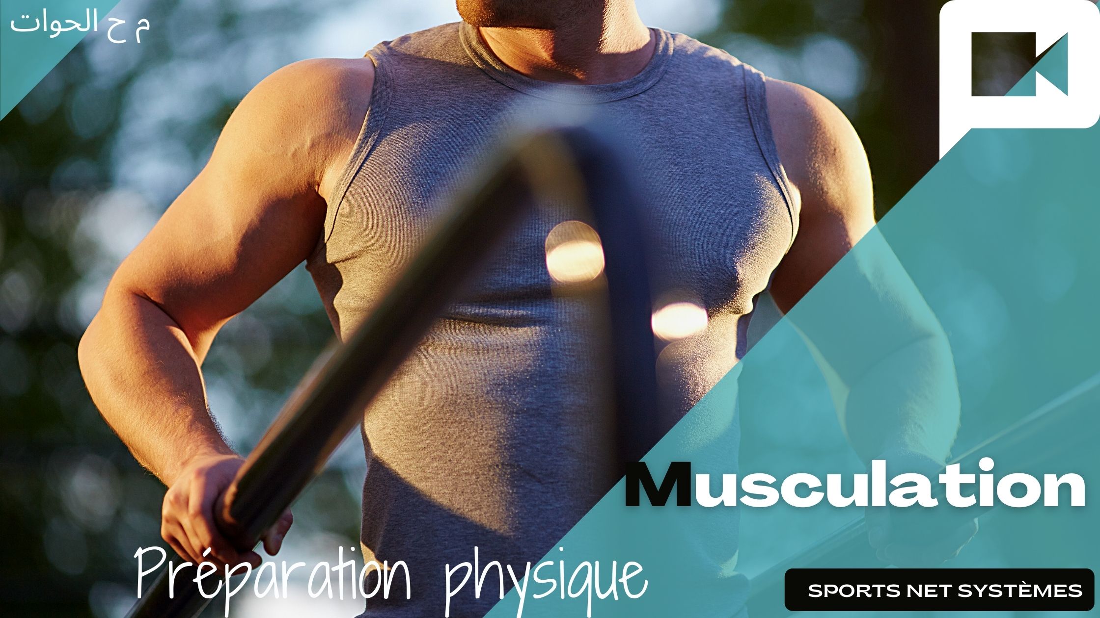 Musculation